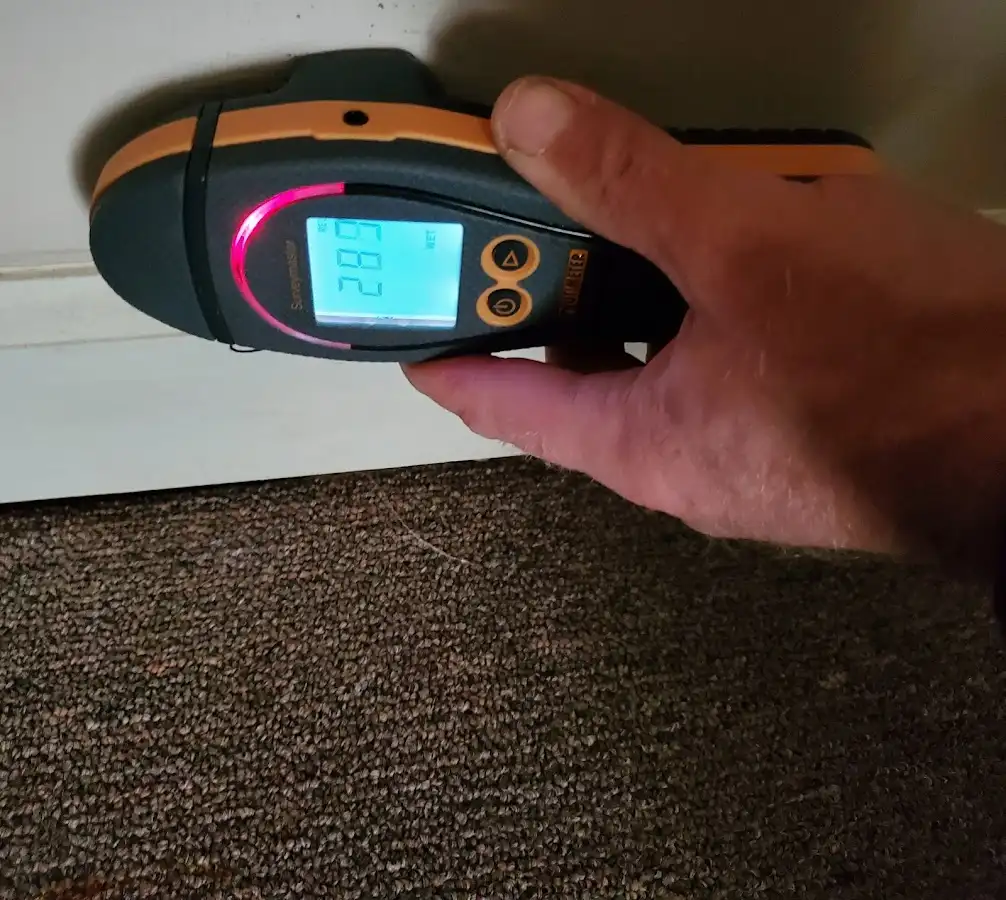 Moisture detection at baseboard during Mold Inspection & Testing in Manhattan